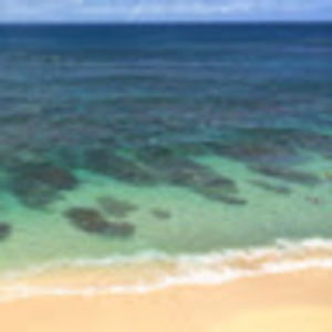 Meet your Posher, Marcus